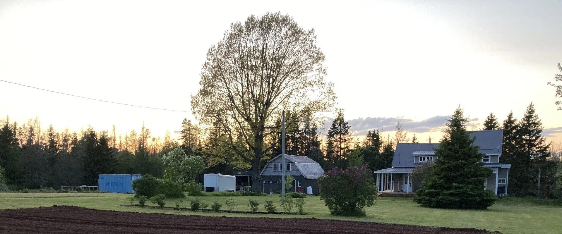 The farmhouse and the field at 480 Abney Road