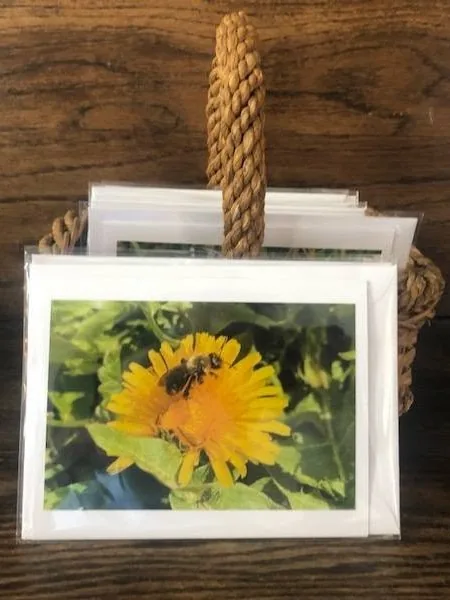 Framed photo cards in a basket in the farm store