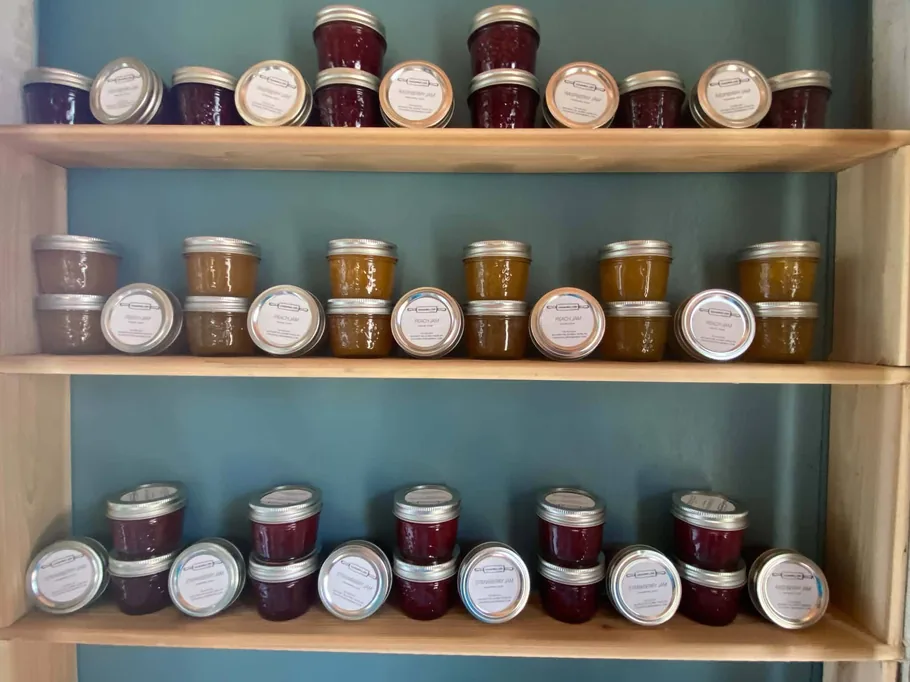 The jam shelves: rows of labelled preserve jars on teal-backed wooden shelving